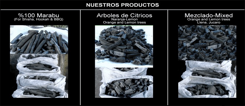 Nuestros productos